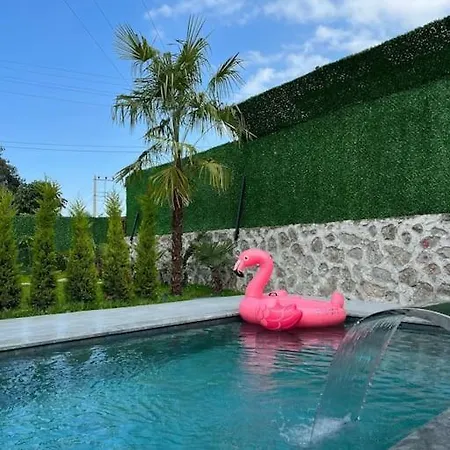 Villa Shino Sapanca'da Sicak Havuzlu Tatil Keyfi! *